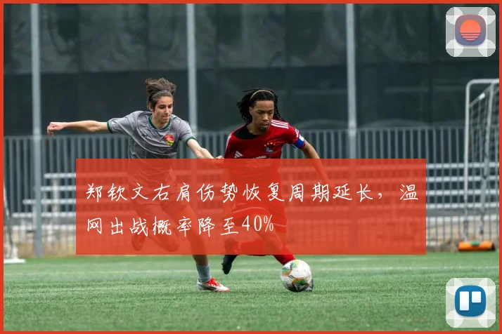 郑钦文右肩伤势恢复周期延长，温网出战概率降至40%